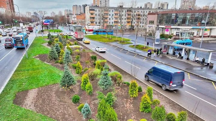 В Москве в 2026 году высадят около 10 тысяч деревьев