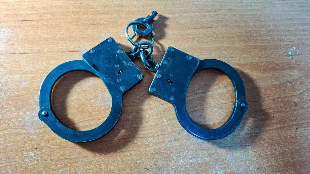 Житель Клина получил условный срок за фото с запрещённой символикой