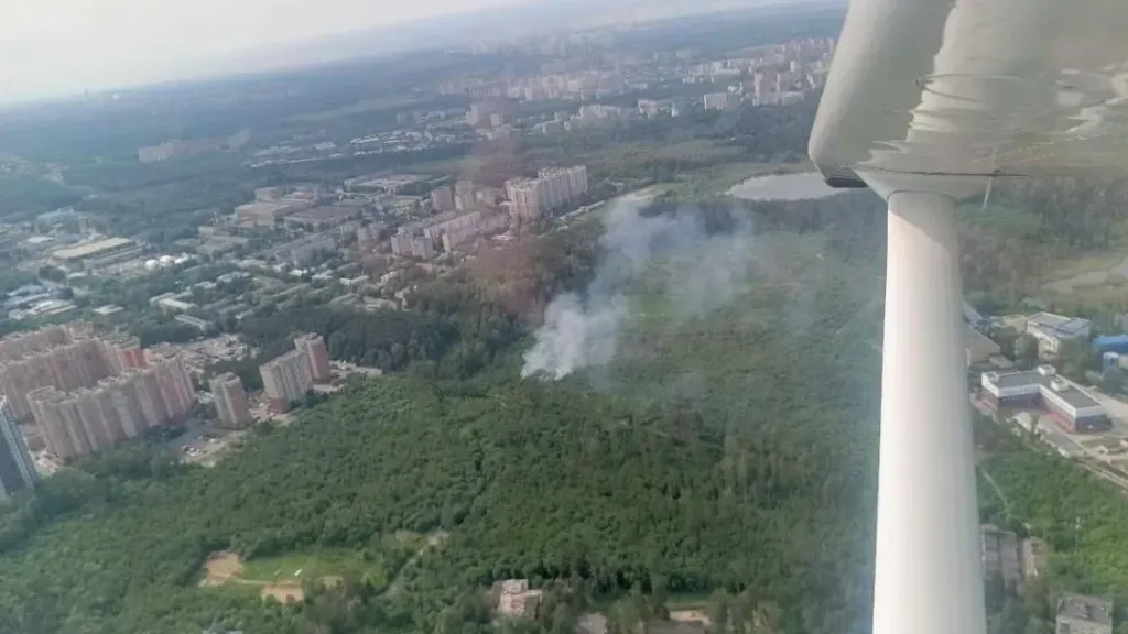 В лесах Подмосковья спрогнозировали II класс пожарной опасности
