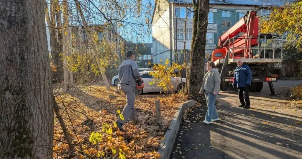 В Волоколамске убрали опасные ветки на улице Текстильщиков