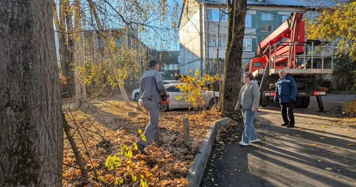 В Волоколамске убрали опасные ветки на улице Текстильщиков