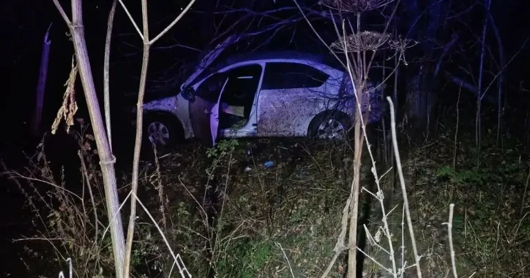 Под Волоколамском спасатели помогли пострадавшей в ДТП водителю