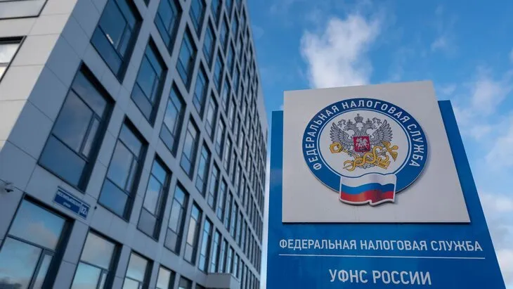 ФНС тестирует модель выявления самозанятых со скрытыми доходами